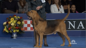 Screen shot 2014-11-27 at 8.39.38 PM