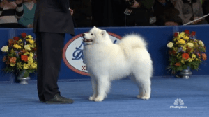 Screen shot 2014-11-27 at 8.39.57 PM