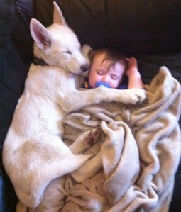 baby-and-dog2_1393599528524_5826_ver1.0
