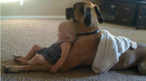 puppies-and-babies-010813-feat