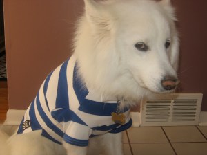 casper in a polo 003