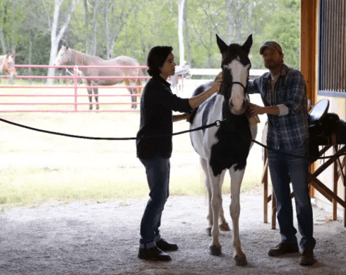 Screen Shot 2015-12-03 at 8.27.00 AM