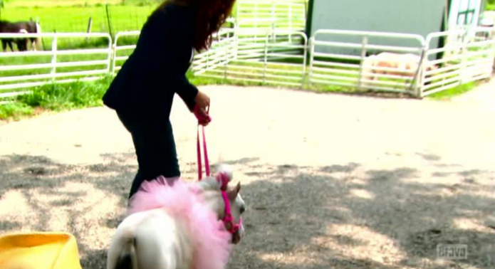 Screen Shot 2015-12-15 at 10.56.09 PM