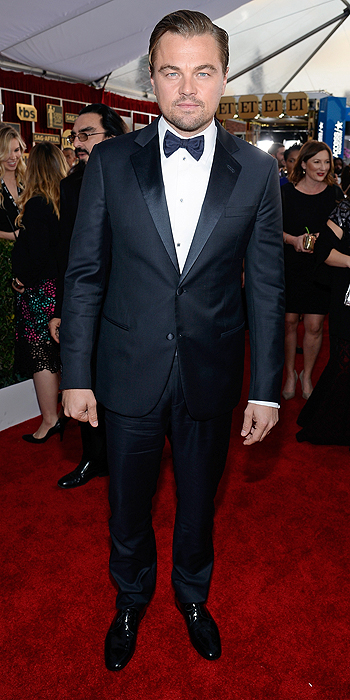 22nd Annual Screen Actors Guild Awards - Red Carpet