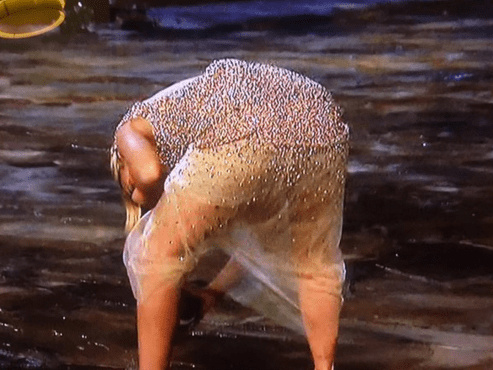 Screen Shot 2016-01-04 at 8.47.59 PM