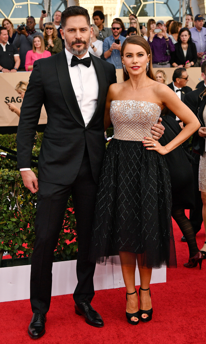 The 23rd Annual Screen Actors Guild Awards, Arrivals, Los Angeles, USA - 29 Jan 2017