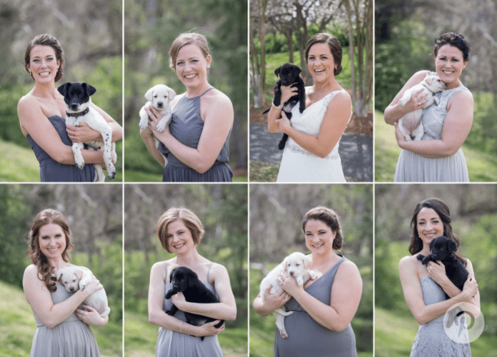 bridalpuppies