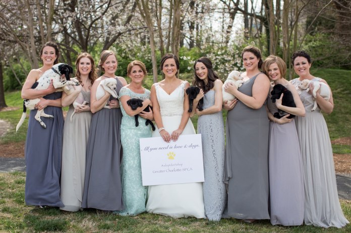 © Discover Love Studios - Brittany Boland - www.discoverlovestudios.com