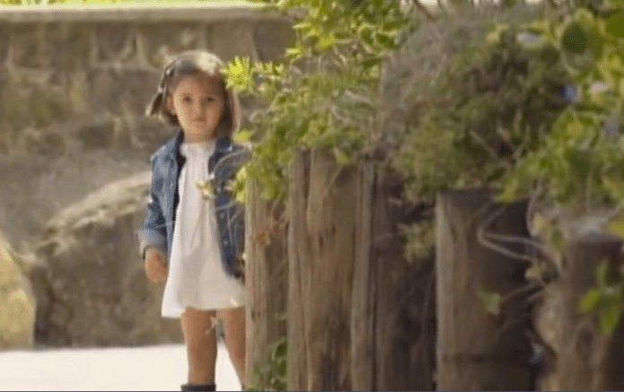 Screen Shot 2017-07-25 at 8.50.25 AM