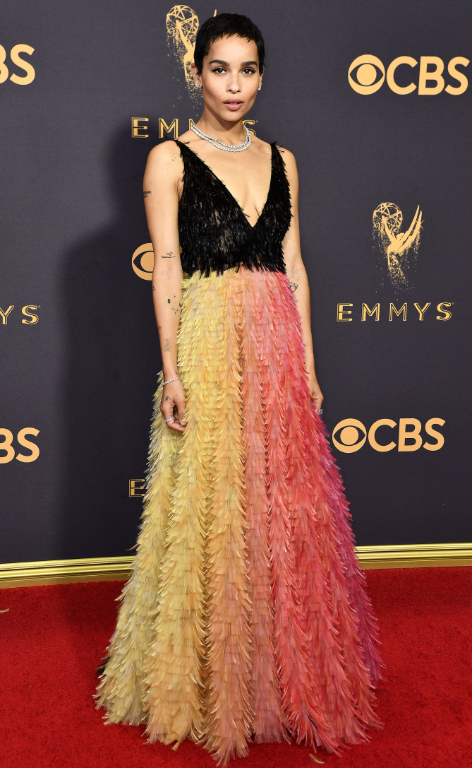 69th Primetime Emmy Awards, Arrivals, Los Angeles, USA - 17 Sep 2017