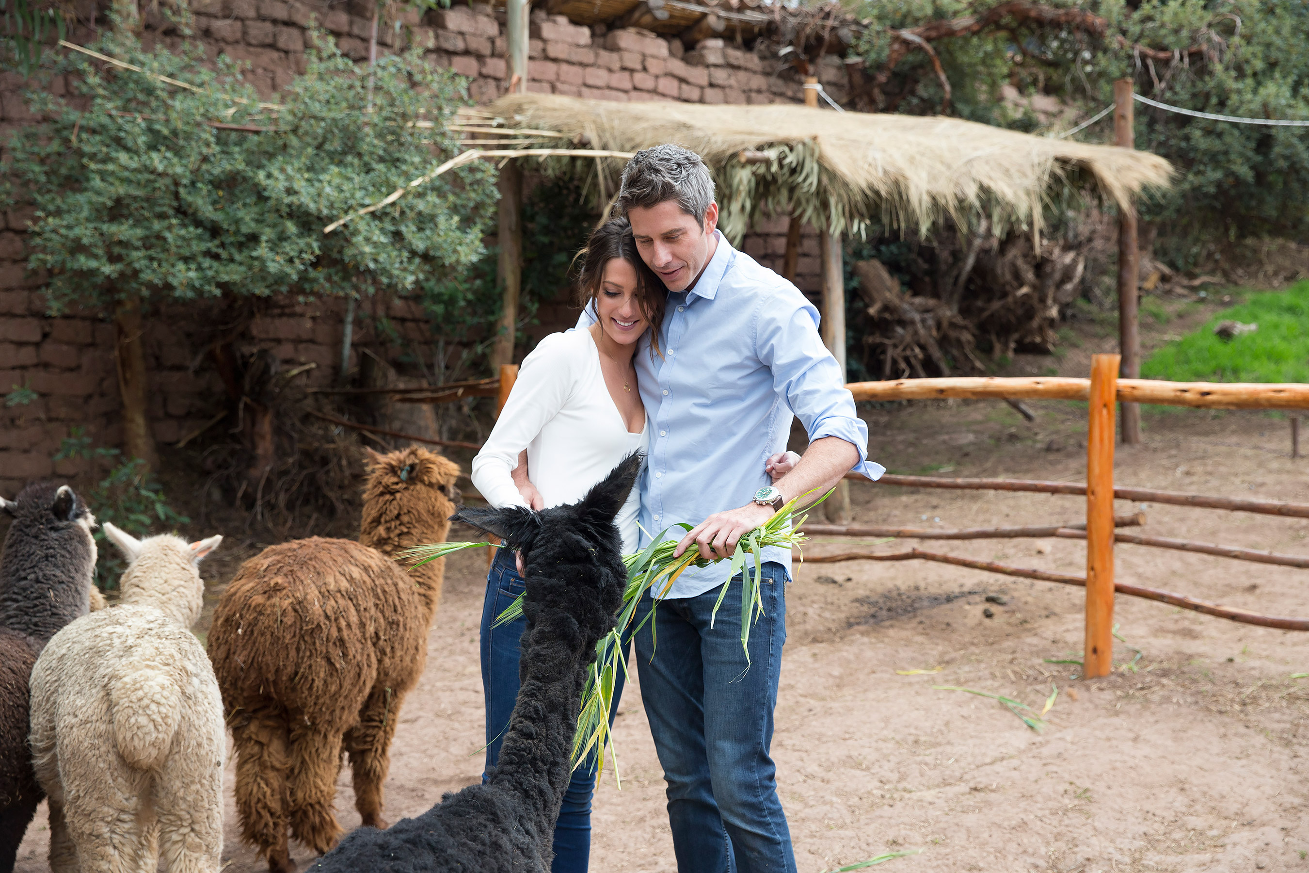 BECCA, ARIE LUYENDYK JR.