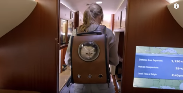 Screen Shot 2020-01-24 at 11.26.41 AM