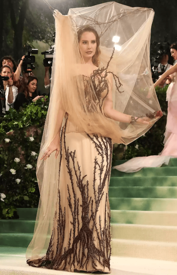 Screen Shot 2024-05-06 at 8.49.59 PM